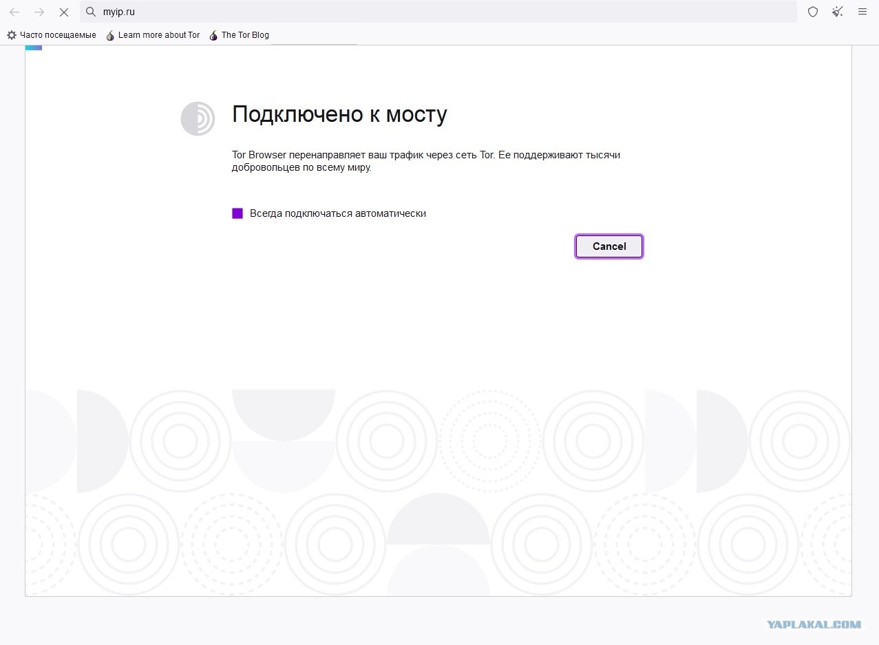 Клир ссылка на кракен 2025