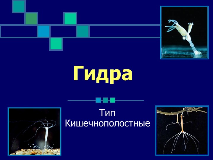 Кракен ссылка на сайт тор